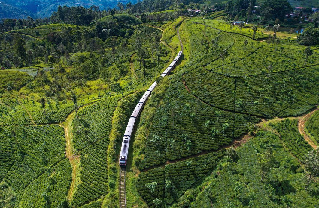 Sri Lanka train through tea plantation