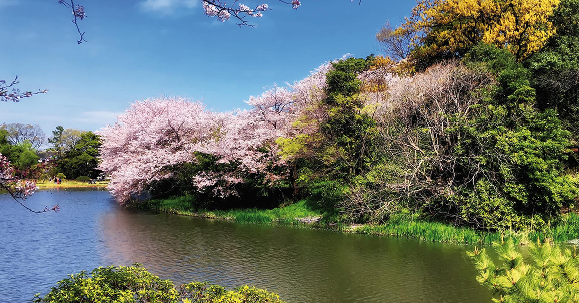 Sankeien Gardens