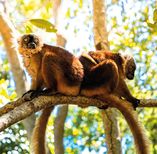 Madagascar
