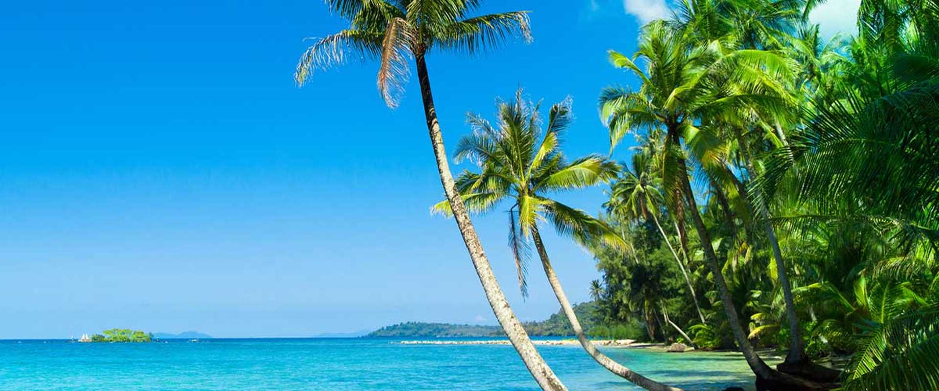 Idyllic Island Coconut Coast, Kauai, Hawaii