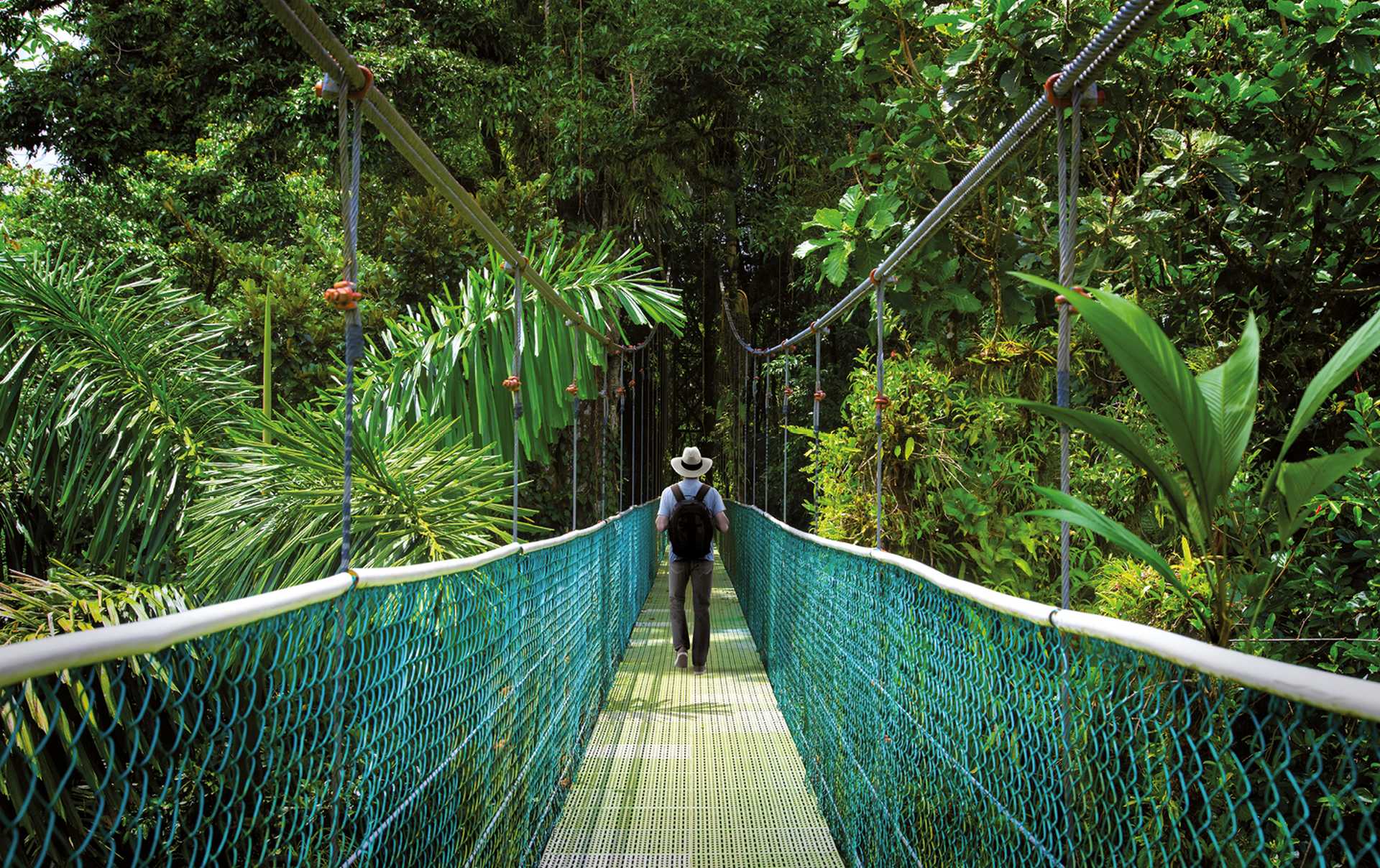 Suspension bridge with backpacker in tropical rain forest, Monteverde Costa Rica