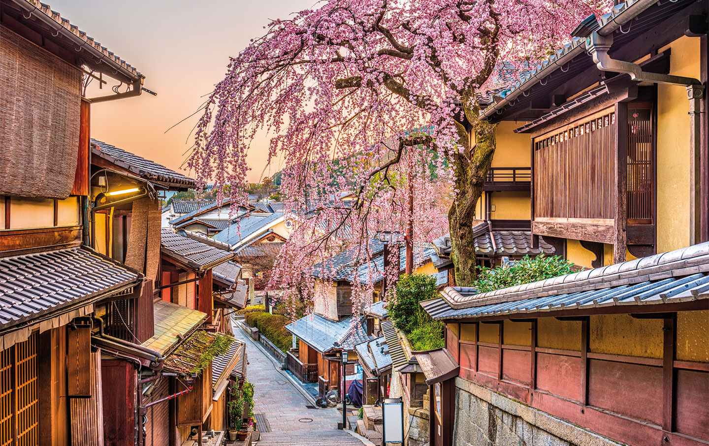 Kyoto, Japan springtime