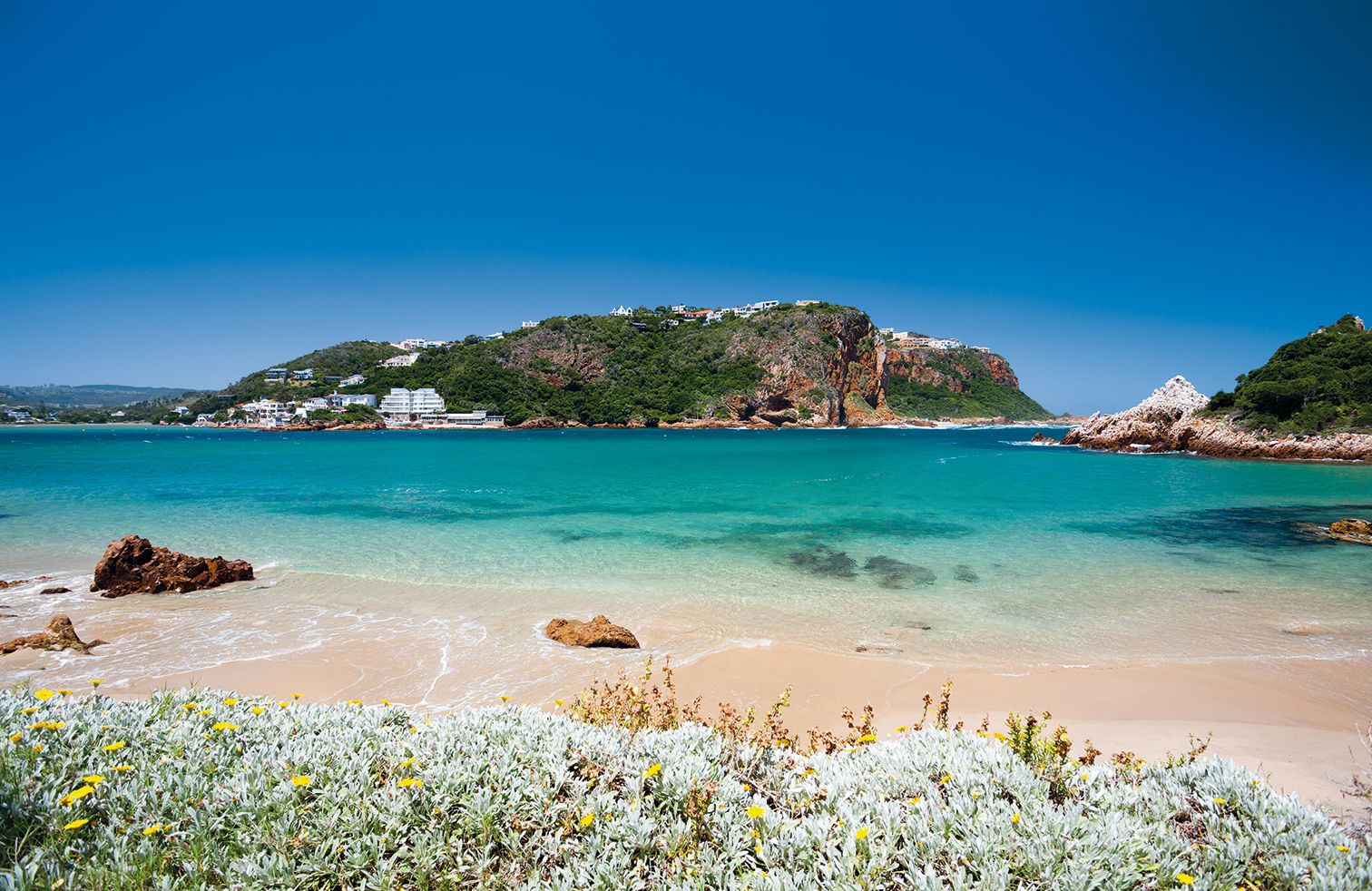 beach of Featherbed nature reserve, Knysna, South Africa