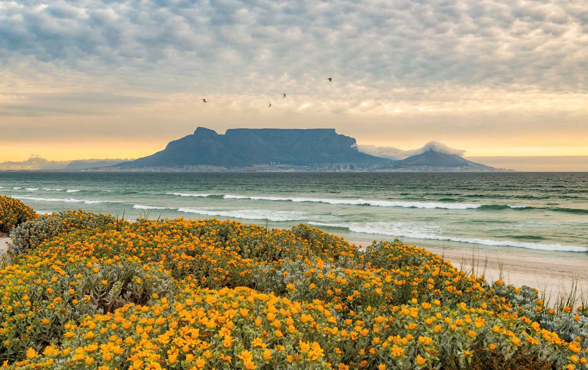 Table Mountain