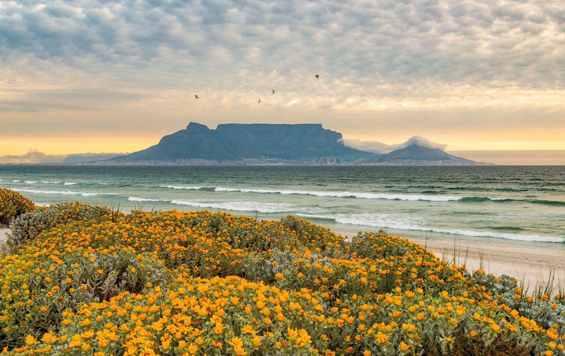 Table Mountain