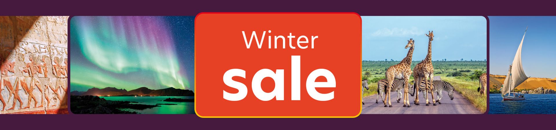 WInter Sale offers