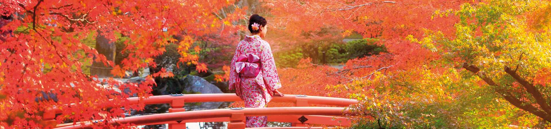 Wooden bridge in the autumn park, Japan autumn season, Kyoto Japan
