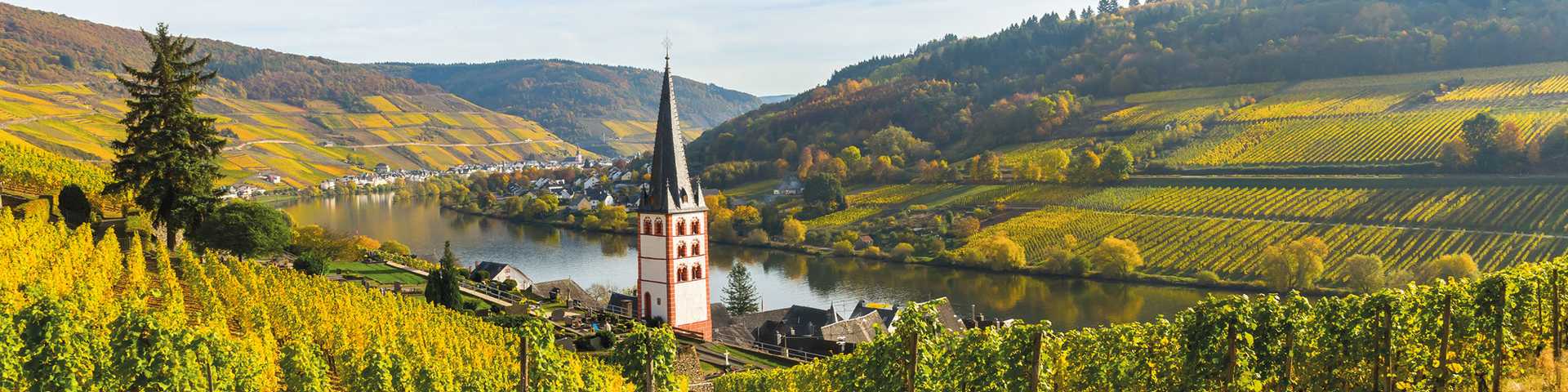 Autumn vineyards, church spire on Moselle, Titan river cruise