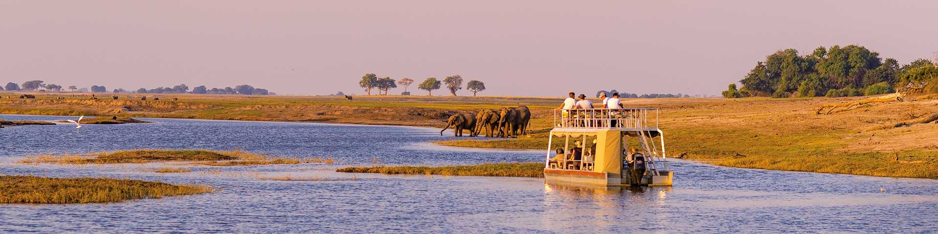 Tourists on boat cruise through Chobe National Parks, Botswana, spotting elephants on the bank