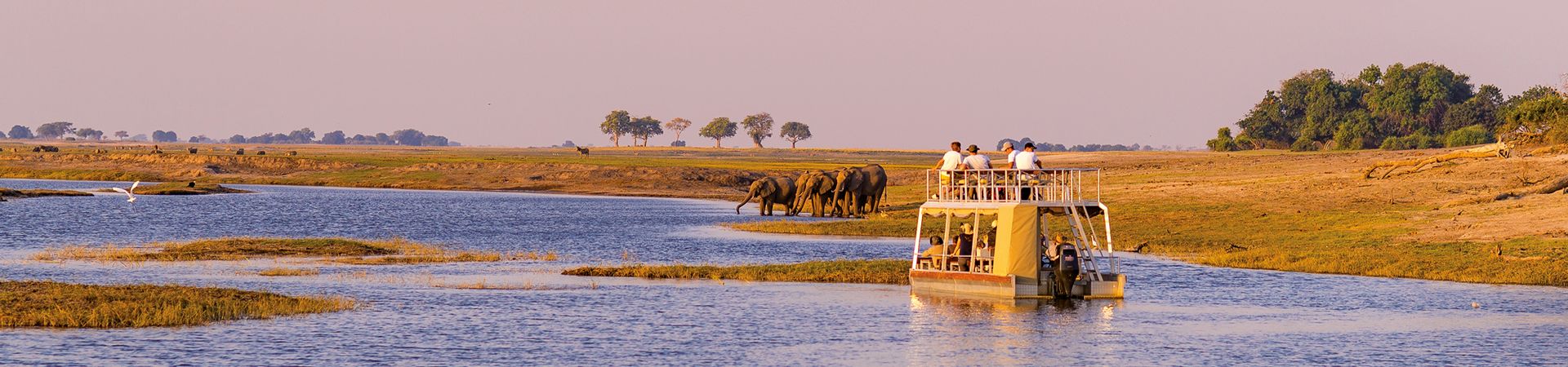Tourists on boat cruise through Chobe National Parks, Botswana, spotting elephants on the bank