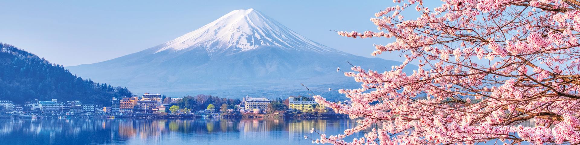 Save up to £2000pp