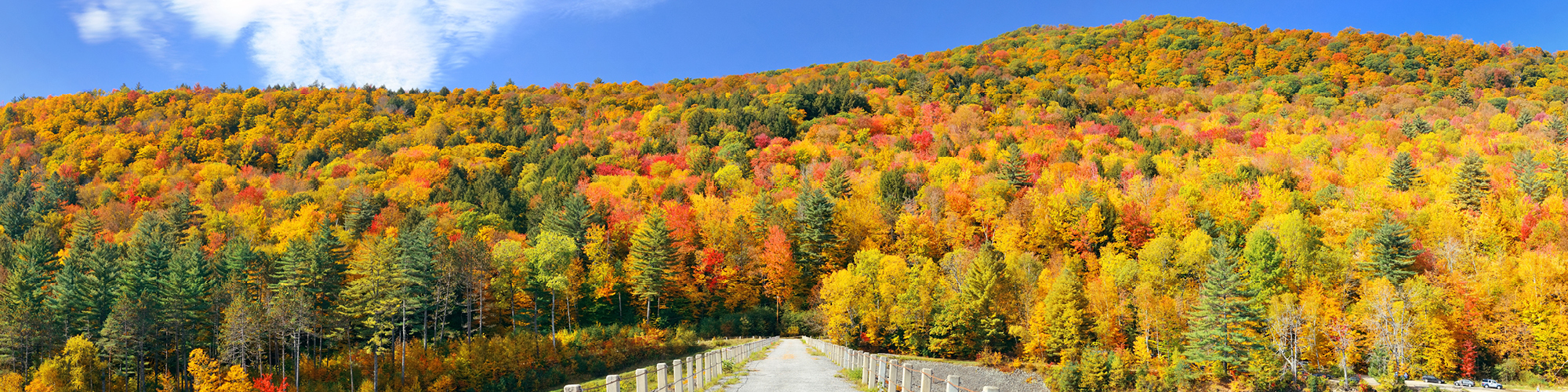 Autumn Hero