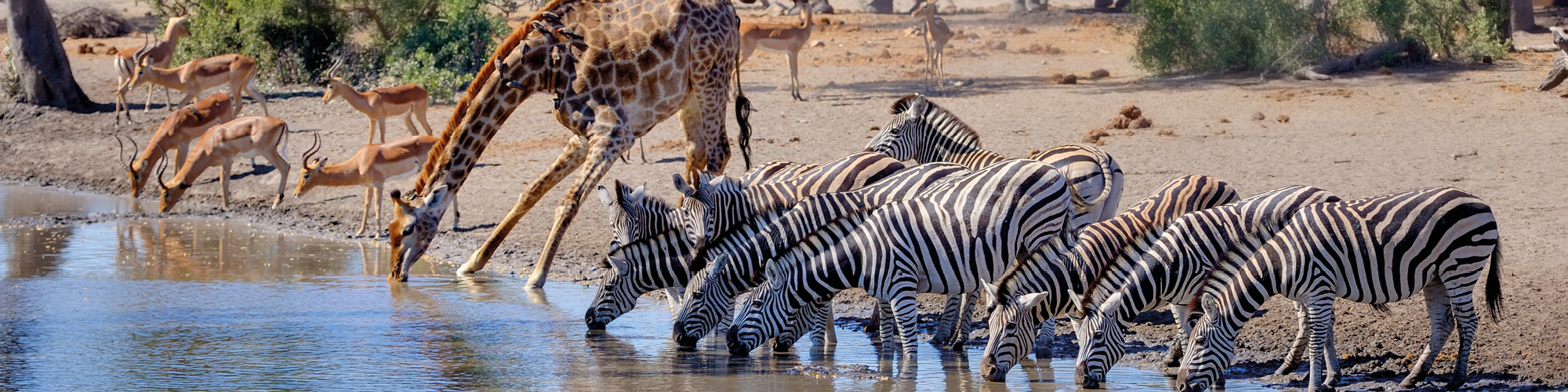 Mabula Game Lodge