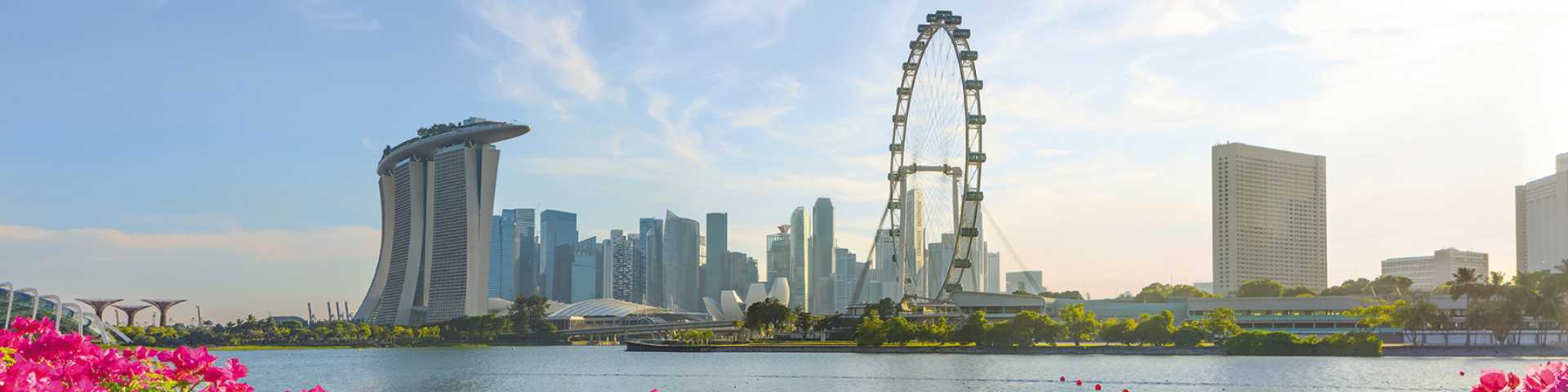 View of central Singapore: Marina Bay Sands hotel, Flyer wheel, ArtScience museum and Supergrove