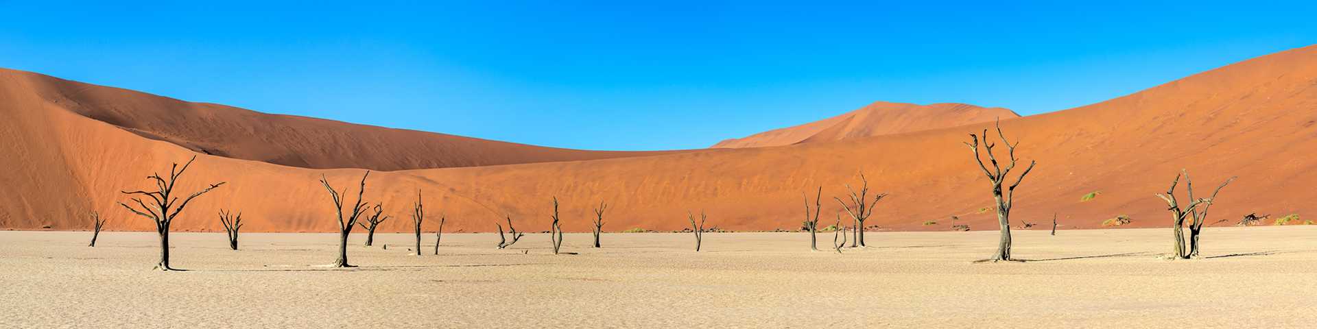 Namibian Discovery
