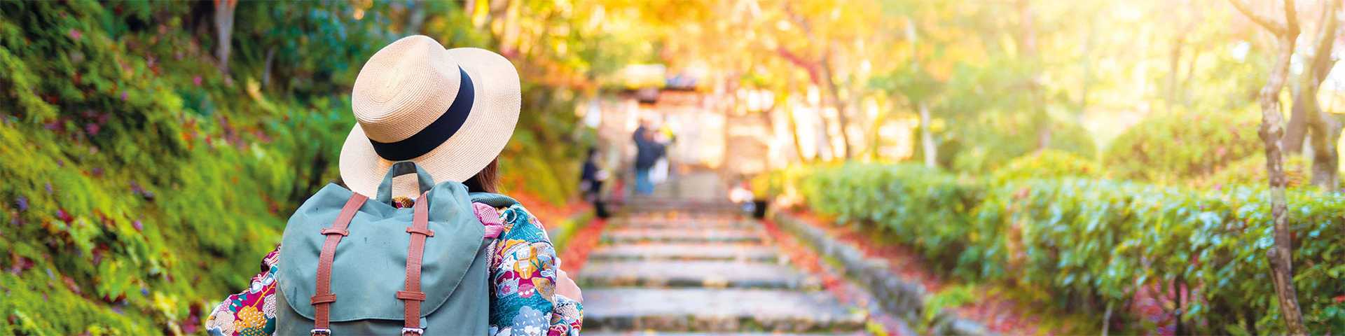 Sightseeing in the park during autumn in Kyoto, Japan.