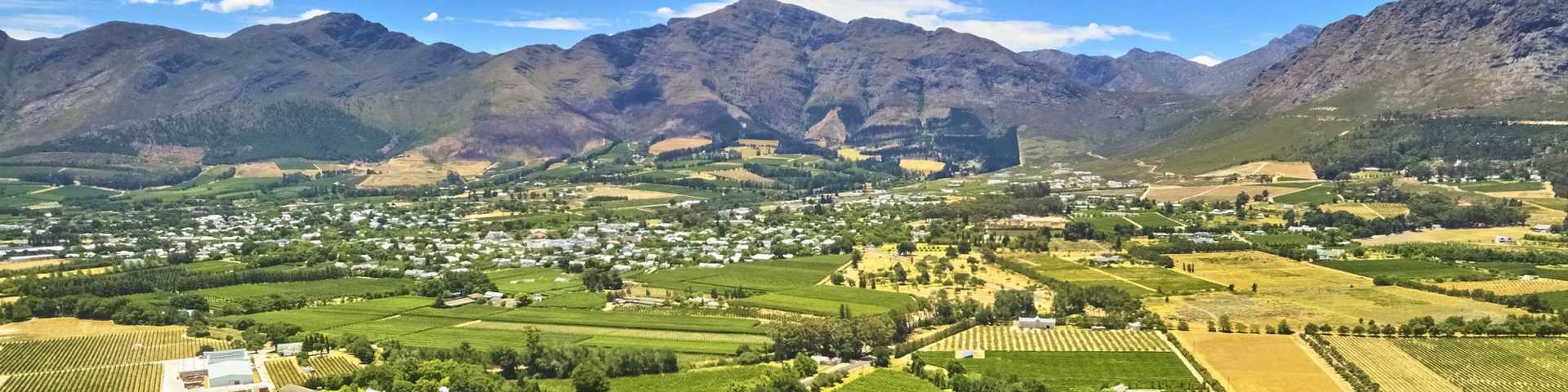 country,  rural,  panoramic,  cloud,  beautiful,  mountain,  view,  stellenbosch,  cityscape,  farm,  winery,  sky,  africa,  town,  franschhoek,  franschoek,  grape,  adventure,  field,  background,  western,  wine,  southafrica,  color,  south,  vinyard,  destination,  holiday,  summer,  agriculture,  capetown,  tourist,  vineyard,  wineyard,  flat,  vacation,  green,  nature,  wineland,  countryside,  hiking,  peak,  hill,  environment,  attraction,  outdoors,  african,  travel,  cape,  landscape 