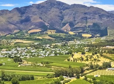 country,  rural,  panoramic,  cloud,  beautiful,  mountain,  view,  stellenbosch,  cityscape,  farm,  winery,  sky,  africa,  town,  franschhoek,  franschoek,  grape,  adventure,  field,  background,  western,  wine,  southafrica,  color,  south,  vinyard,  destination,  holiday,  summer,  agriculture,  capetown,  tourist,  vineyard,  wineyard,  flat,  vacation,  green,  nature,  wineland,  countryside,  hiking,  peak,  hill,  environment,  attraction,  outdoors,  african,  travel,  cape,  landscape 