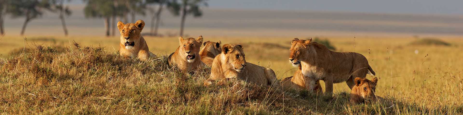 Kenya