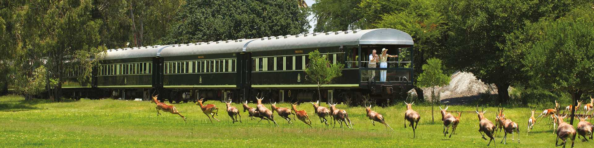 Rovos Rail in South Africa with antelopes leaping past the train