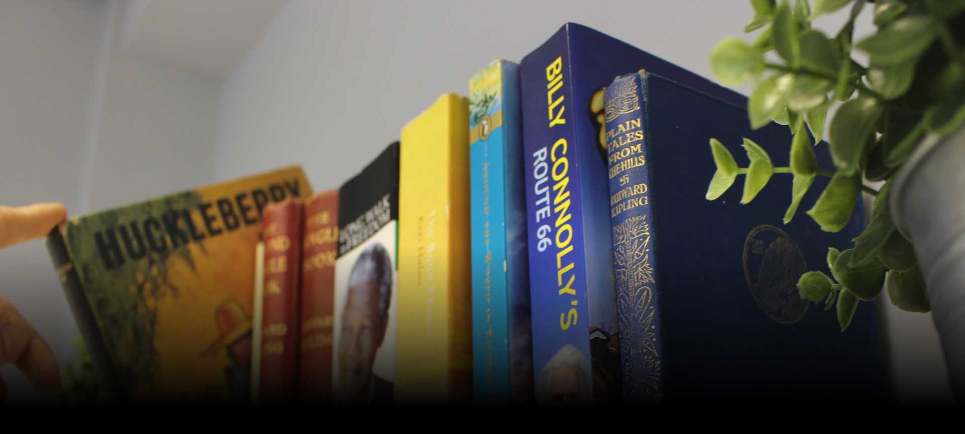 Travel books displayed on a shelf