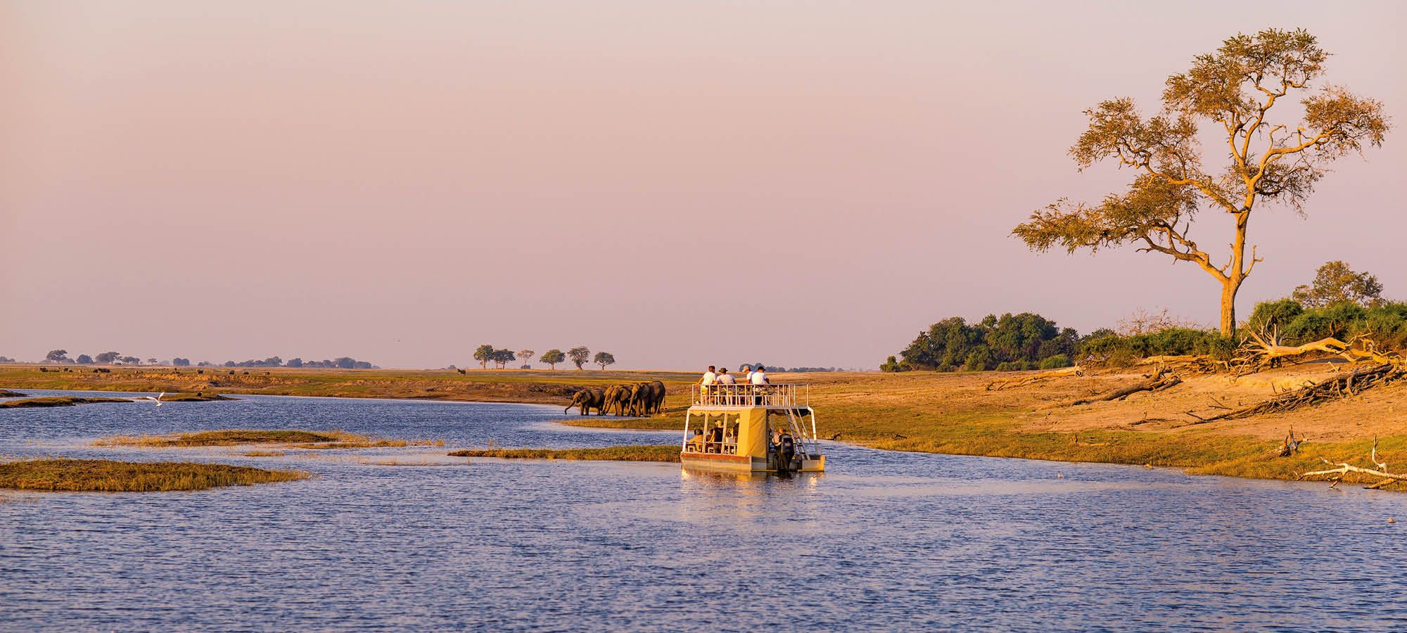 Boat cruise and wildlife safari on Chobe River, Namibia Botswana border, Africa. Chobe National Park, famous wildlilfe reserve and upscale travel destination.