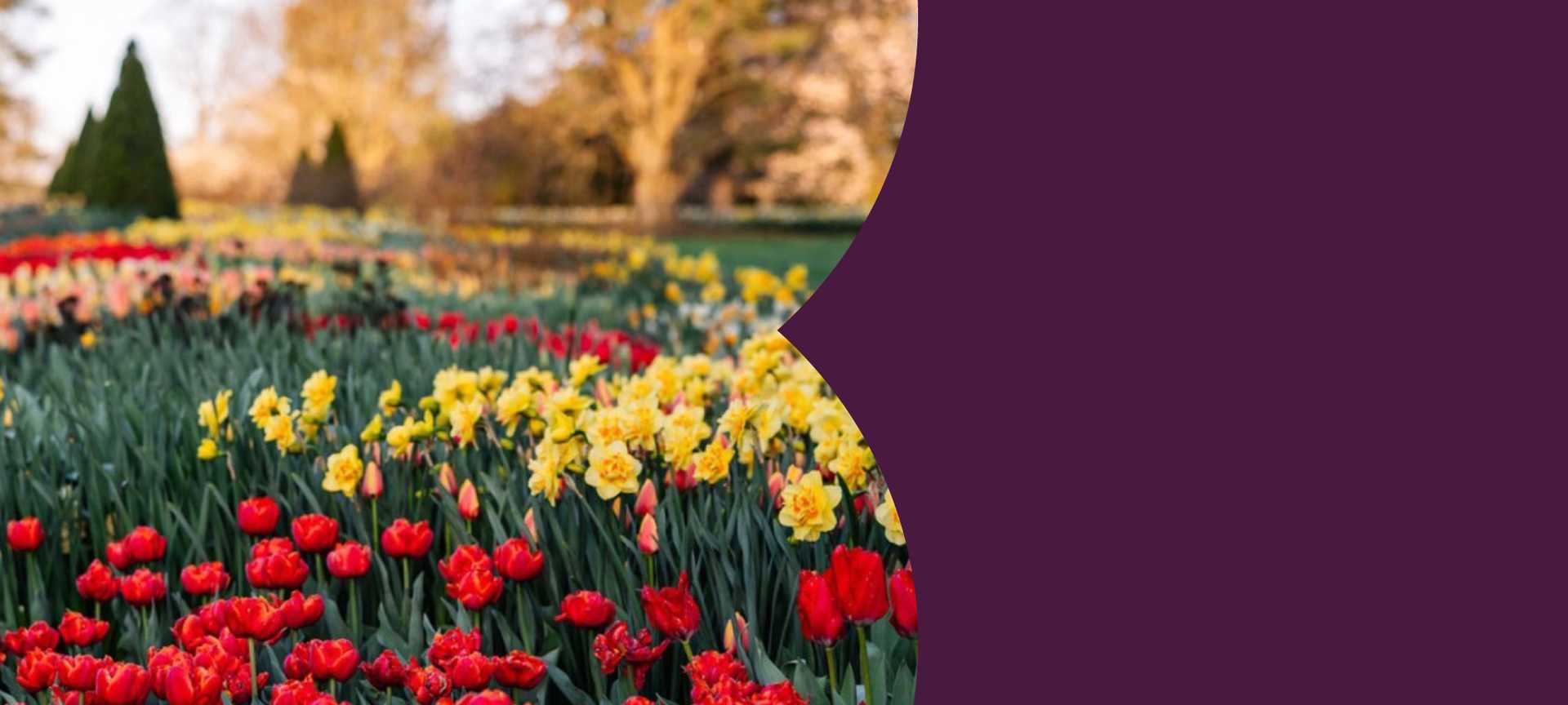 The World's Prettiest Flower Gardens