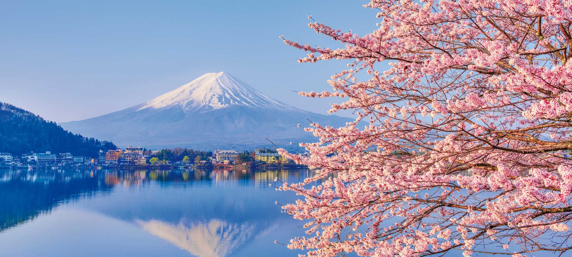 Lake Kawaguchiko, where Mt. Fuji and cherry blossoms bloom, spring in Japan
