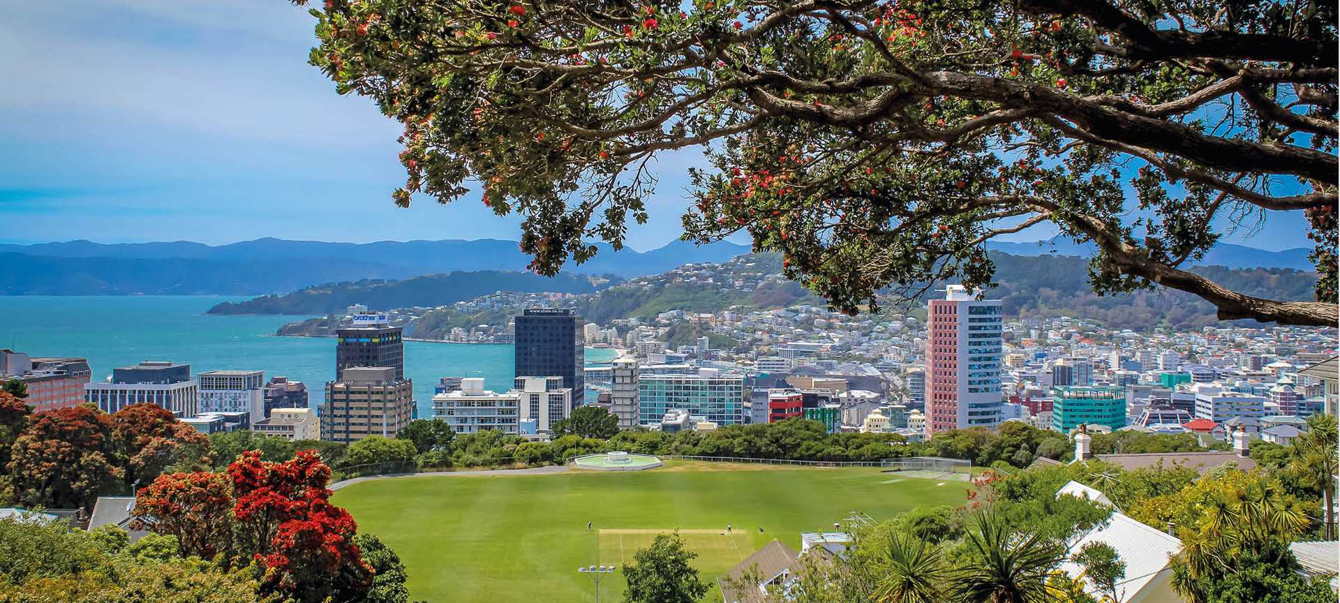 View of Wellington taken from the city's hilltop botanical gardens
