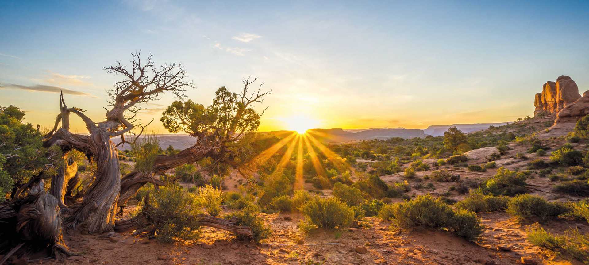 Arches National Park Utah USA