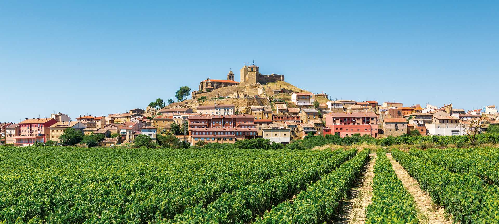 La Rioja couuntryside with Haro town