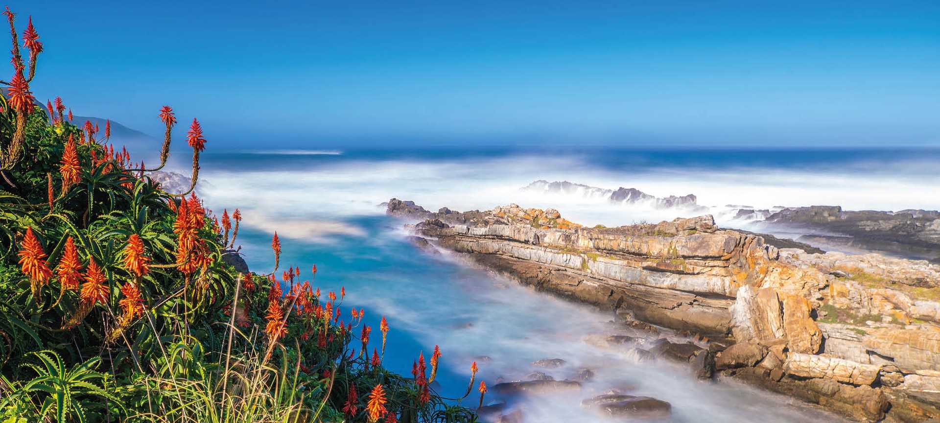 A coastal view in Tsitsikamma National Park, along South Africa's Garden Route