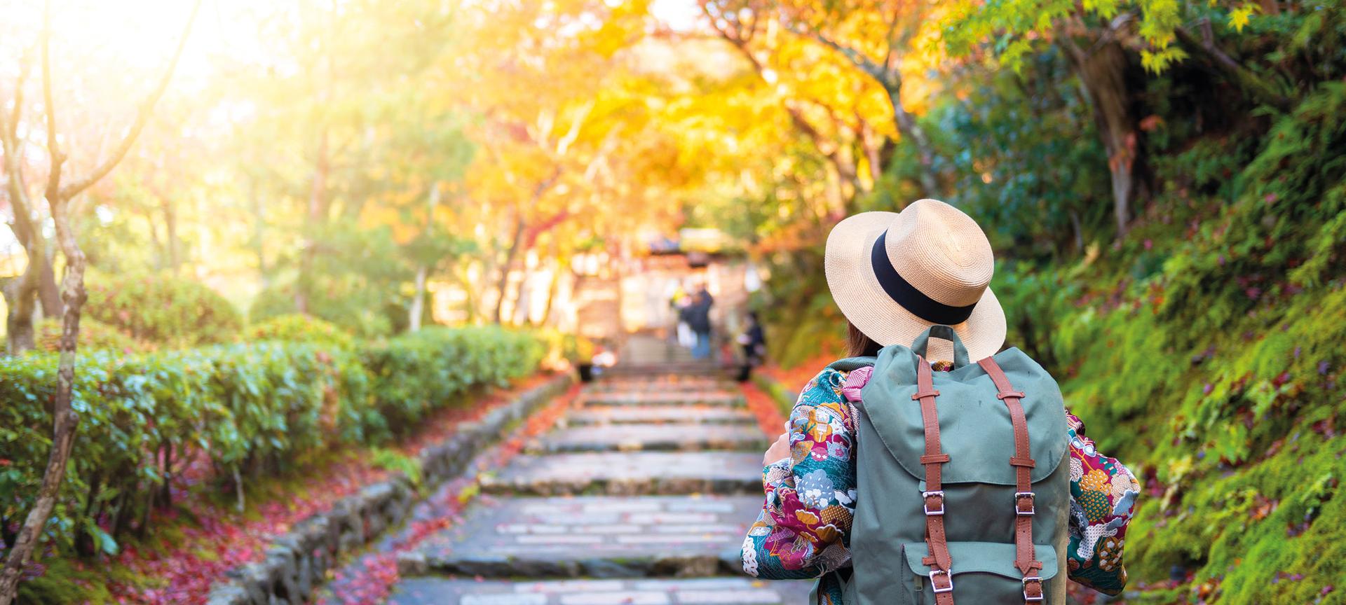 A solo traveller walks along a tree-lined pathway in Kyoto, Japan