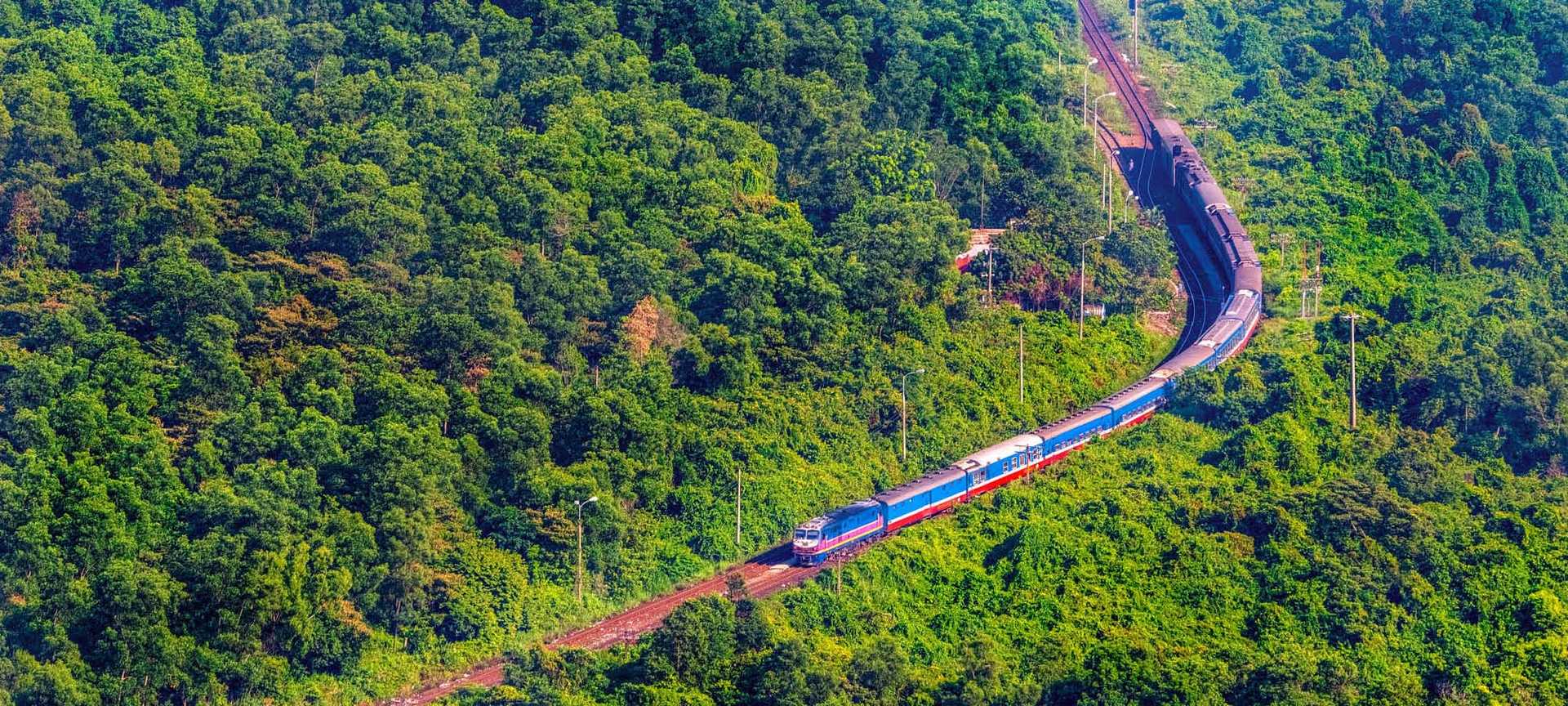 A train travels through lush forest