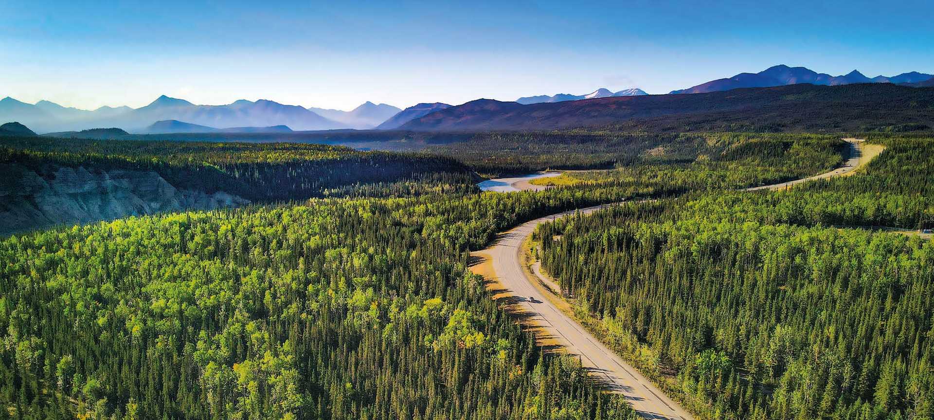 A road winds through thick forest in Denali State Park, Alaska