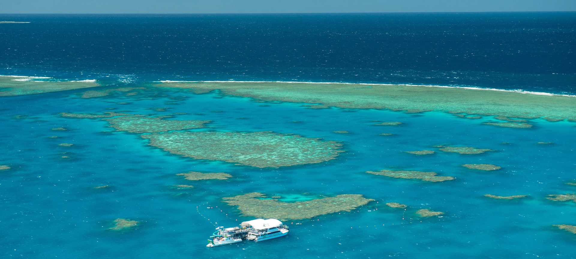An aerial view of a boat moored on the Great Barrier Reef, visited on Titan's Australia tours