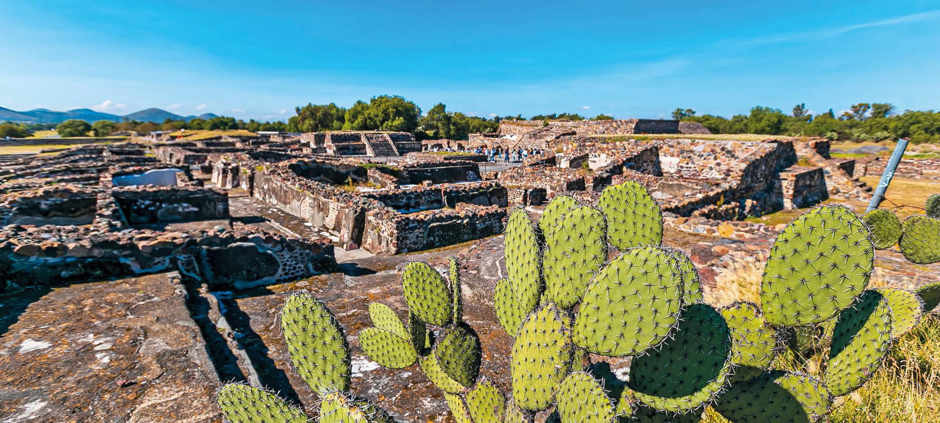 Cacti grow around Teotihuacan Aztec site in Mexico