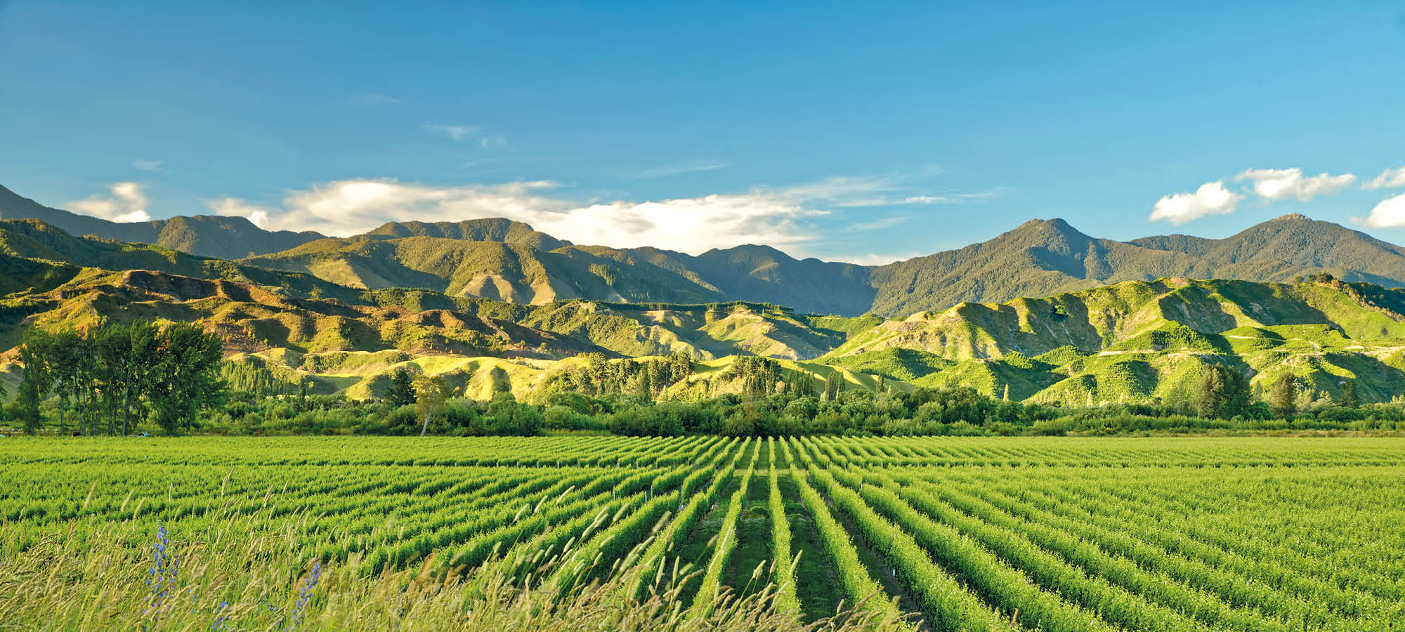 When is the Best Time to Visit New Zealand & Australia? - Titan Travel