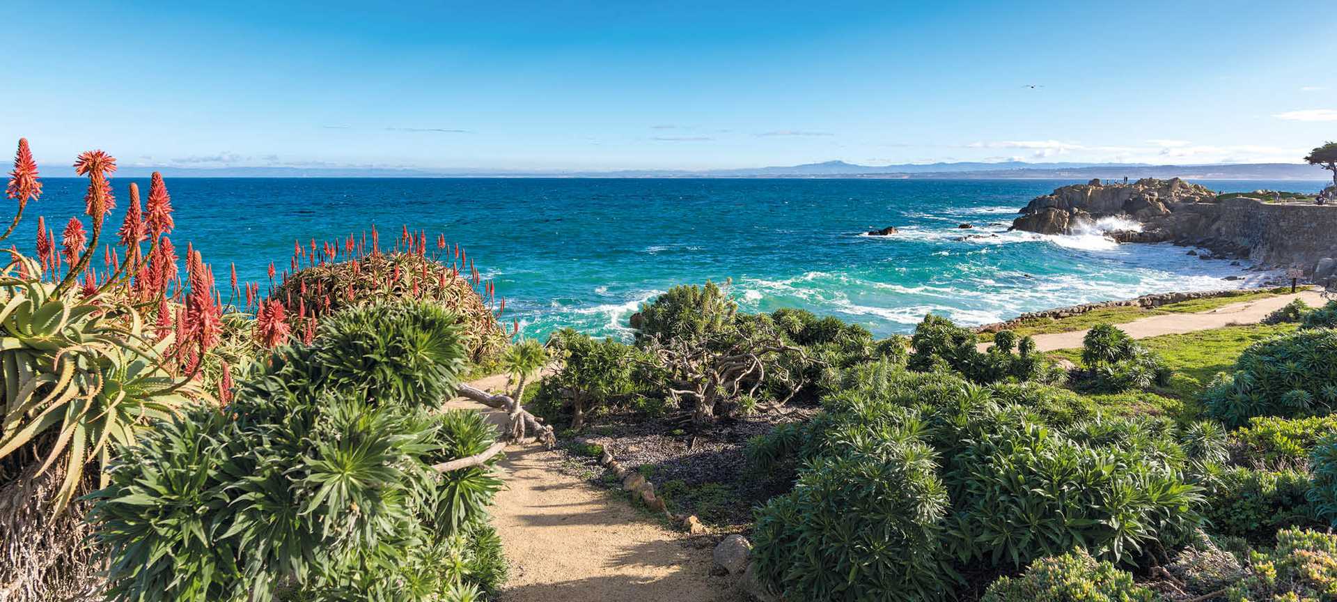 A footpath leads down towards the Pacific Ocean in Monterey, California