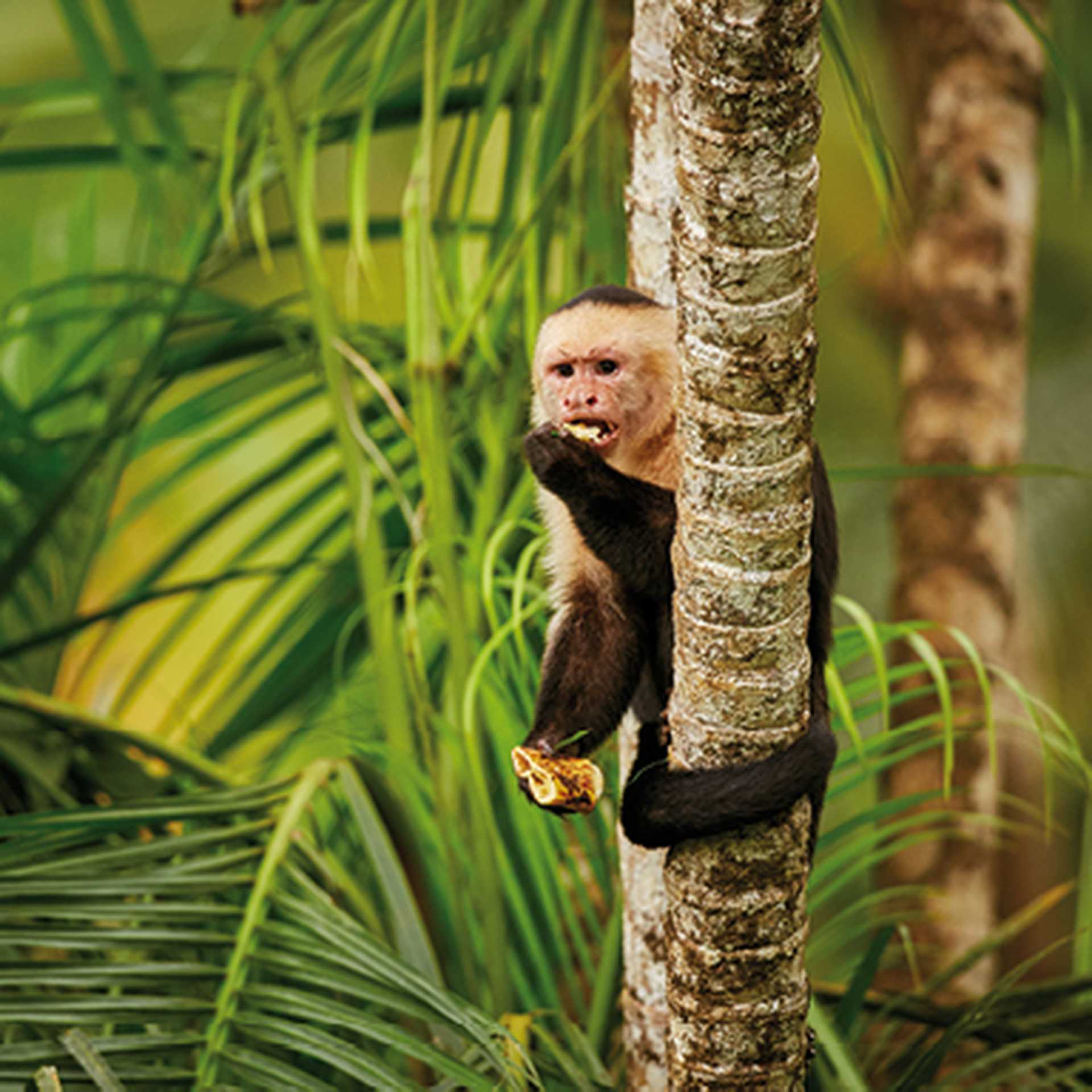 Costa Rica