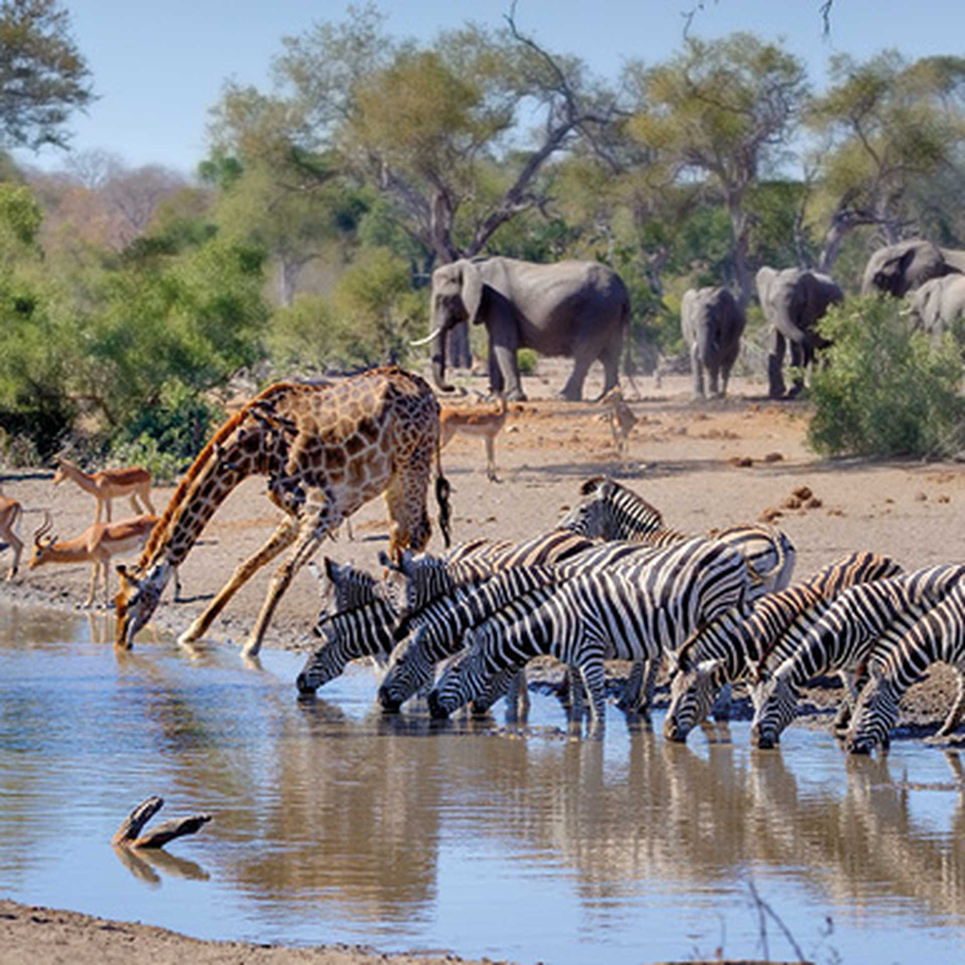 South Africa