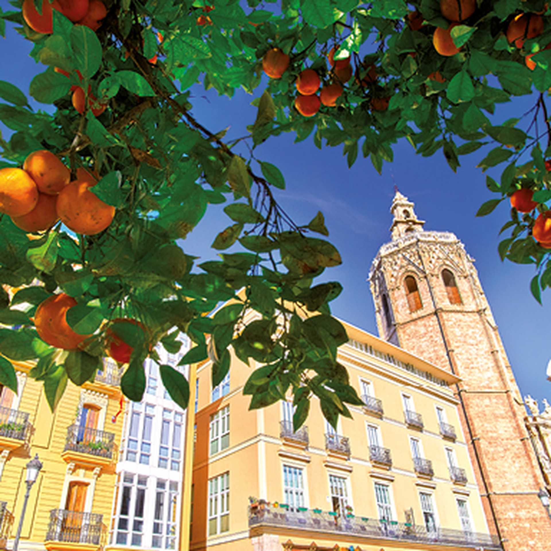 Spain