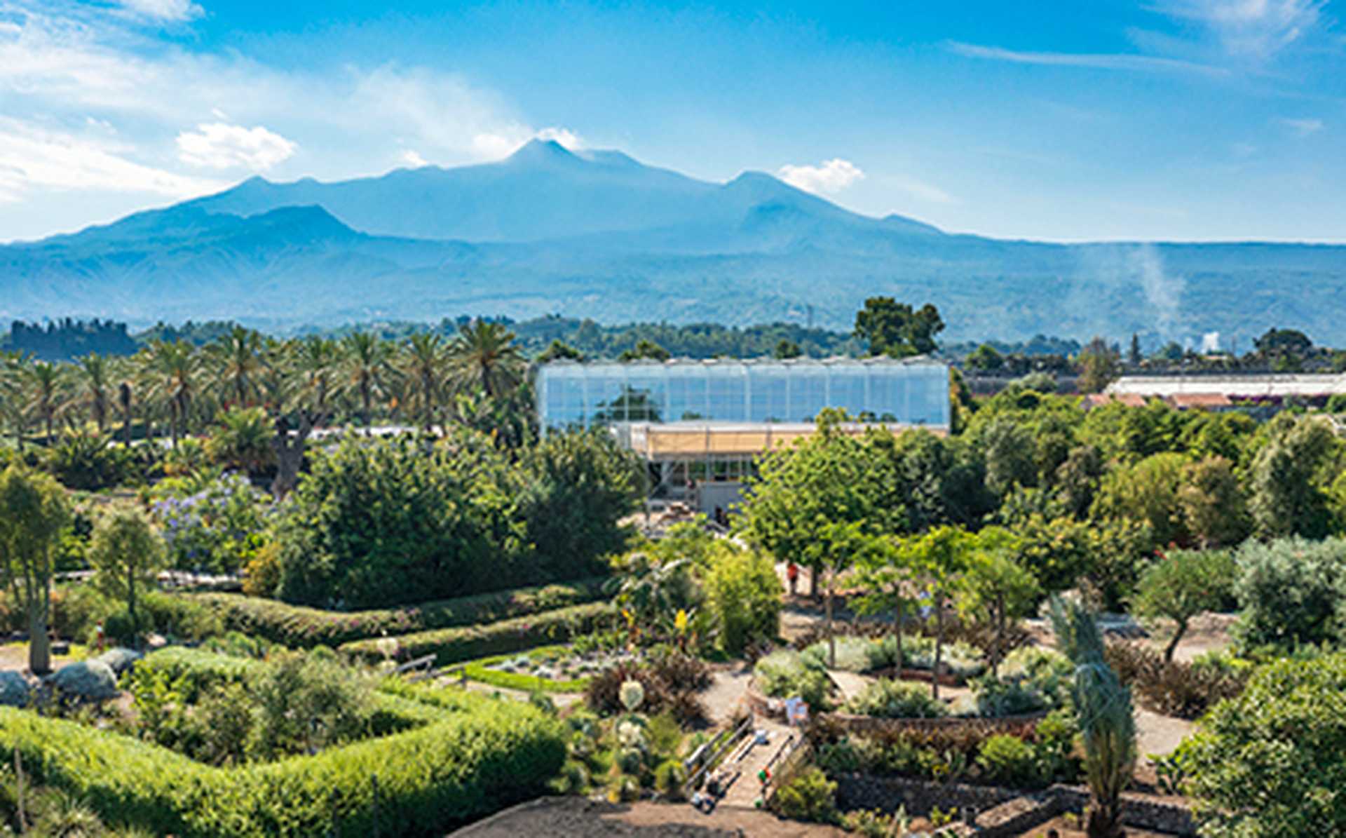 Radicepura Garden Festival