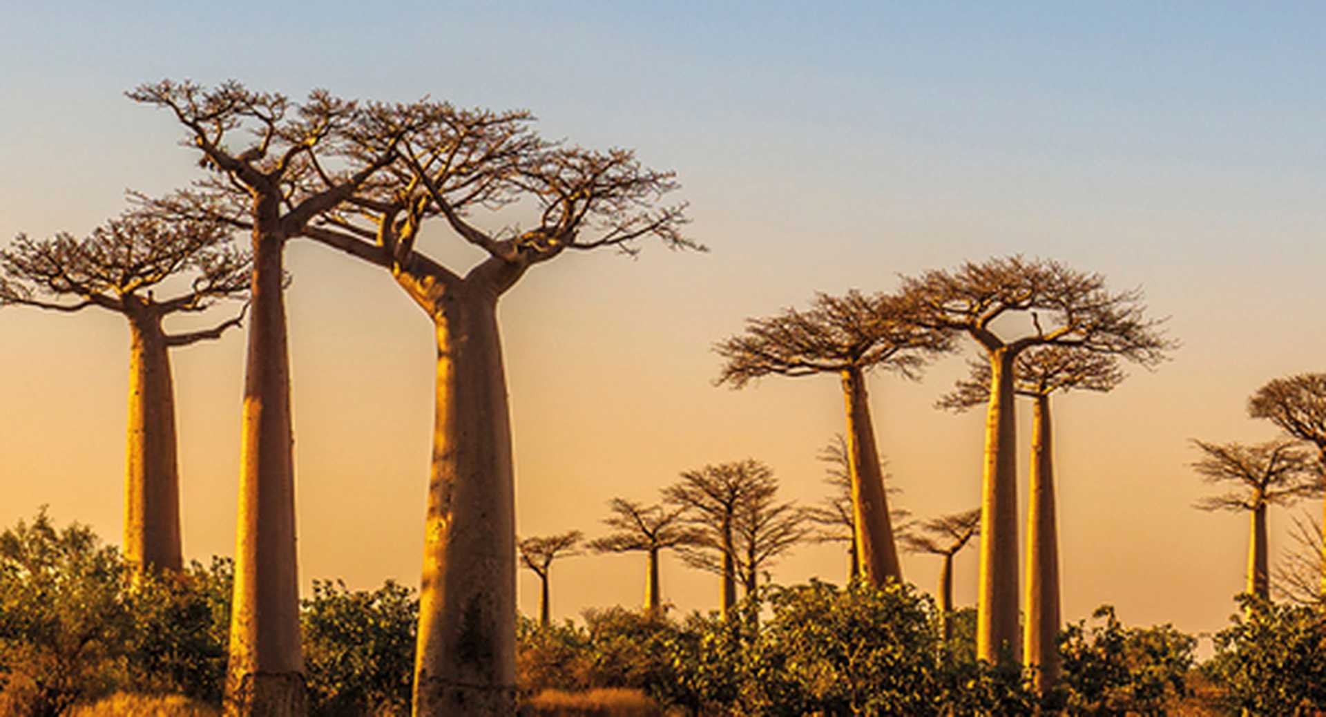Madagascar