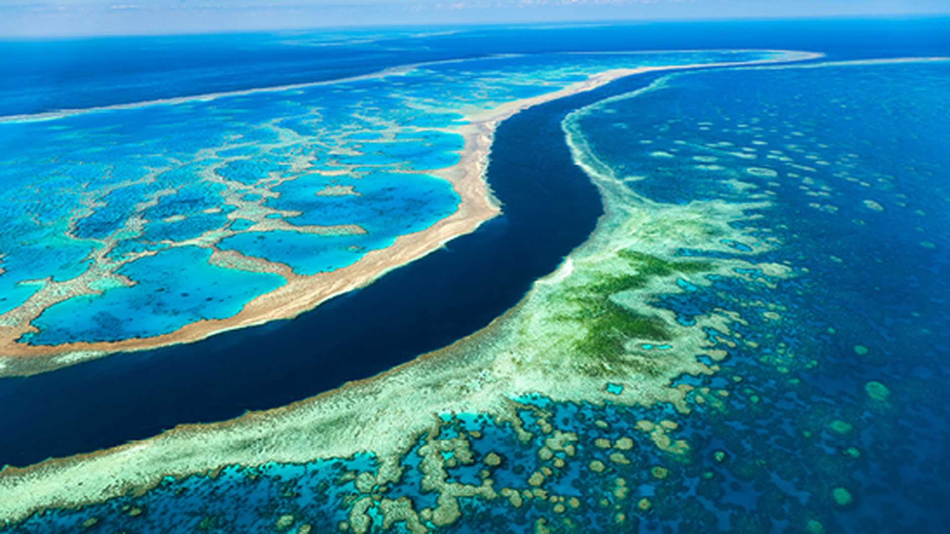 Great Barrier Reef. Whitsundays. Queensland Australia