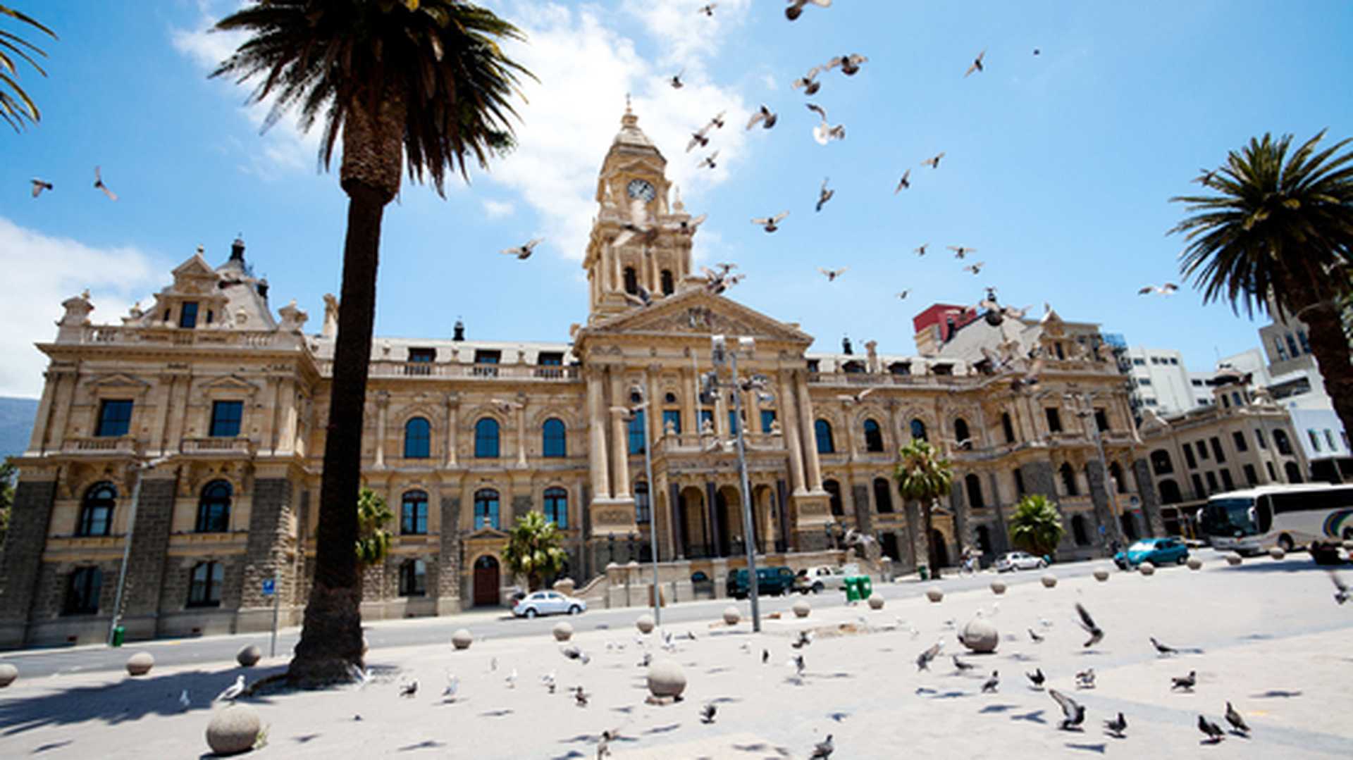 pigeons flying over city hall of Cape Town, South Africa