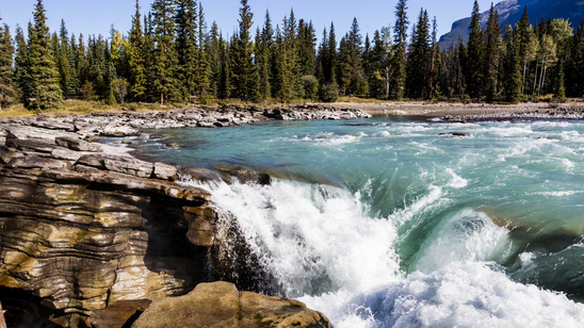Athabasca Falls is a waterfall in Jasper National Park on the upper Athabasca River, Jasper, Alberta, Canada