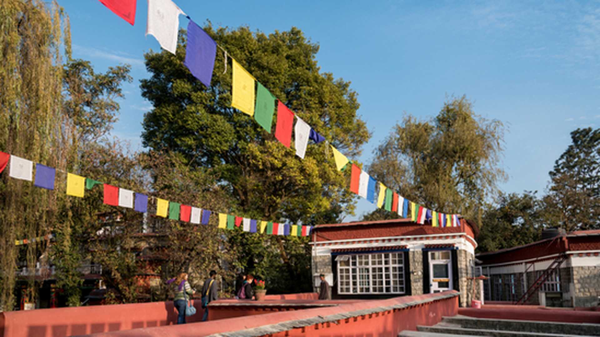 Multiple Buddhist prayer flags flying high at Norbulingka Institute near Dharamshala, India.