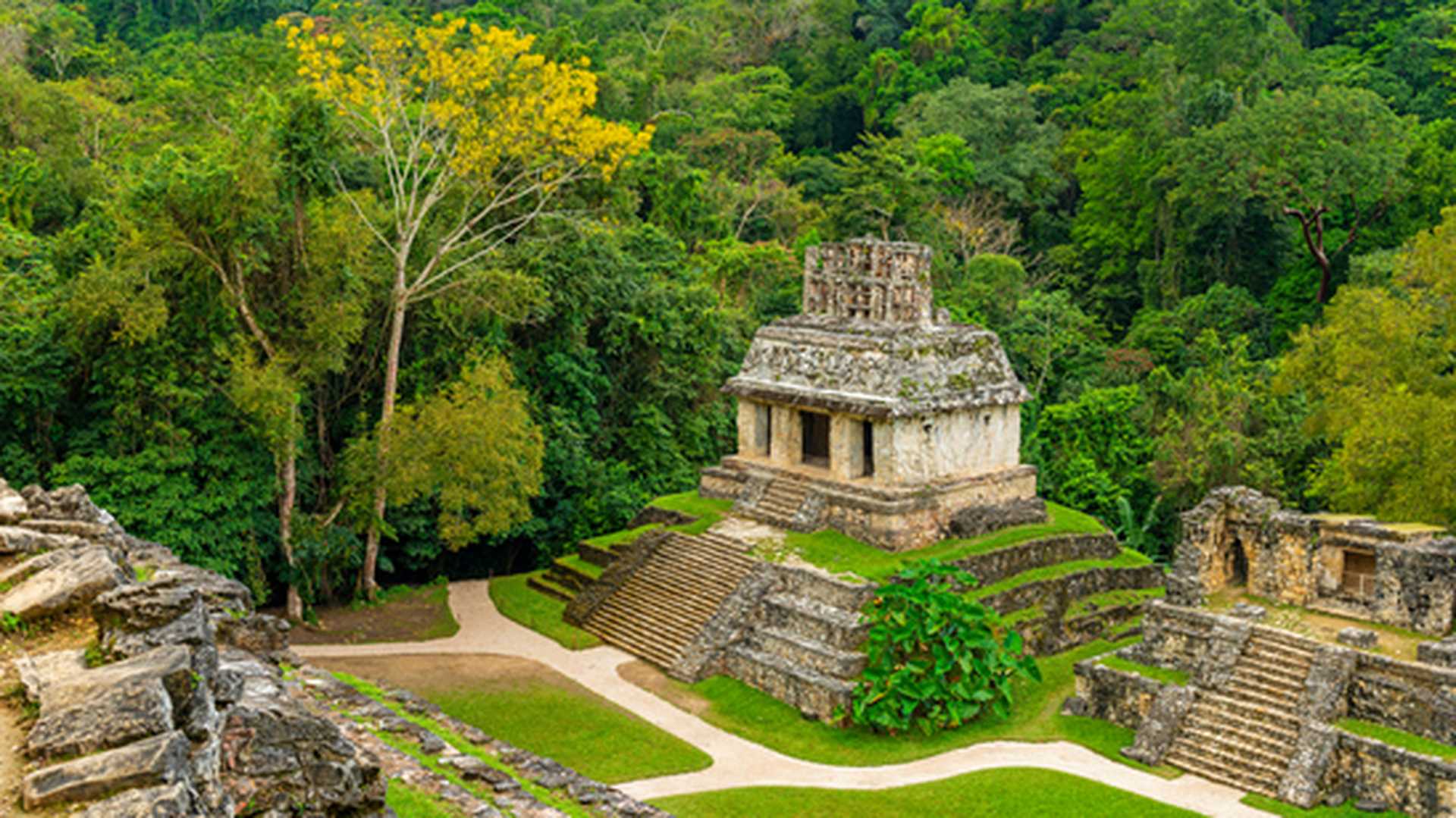 Aerial view of the Mayan temple ruins of Palenque, with a tropical rainforest setting during daytime near the city of Palenque, Chiapas state, Mexico.