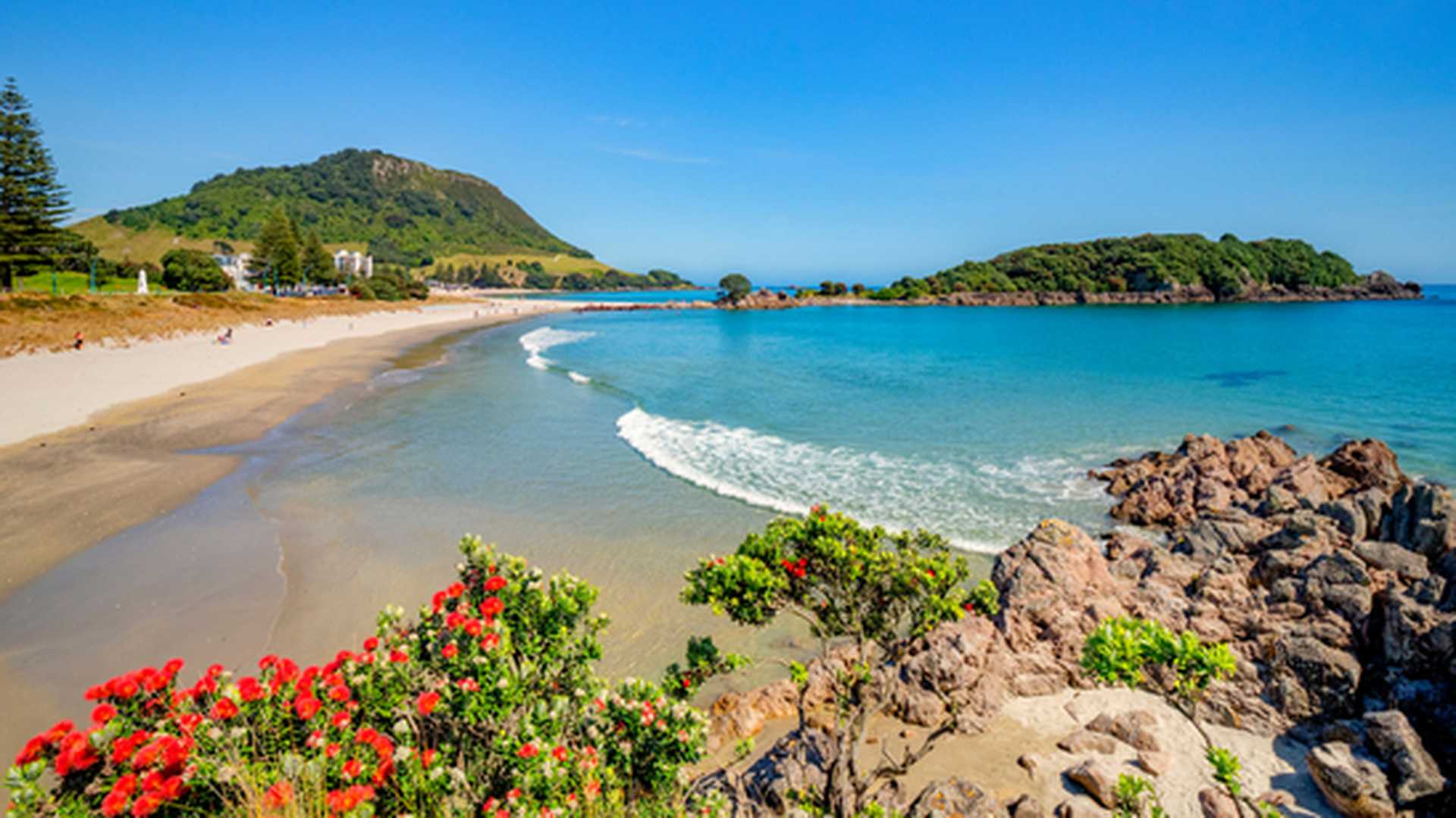 Mount Maunganui and Moturiki Island, with pohutukawa bushes in foreground, New Zealand